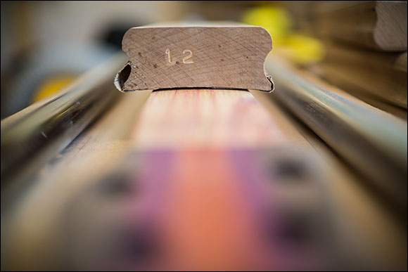 _W5A7047.jpg