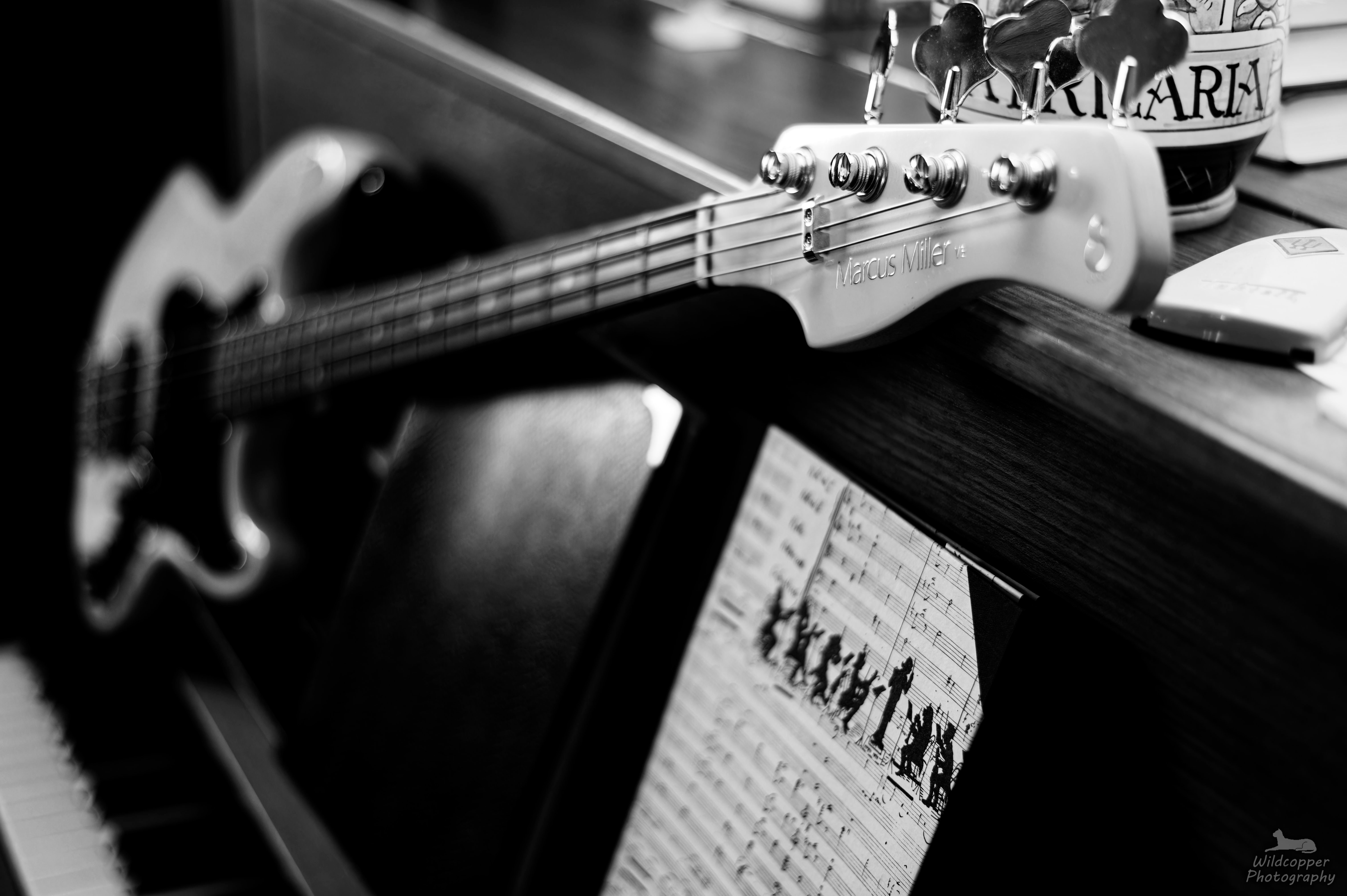 _Z620004_DxO.jpg