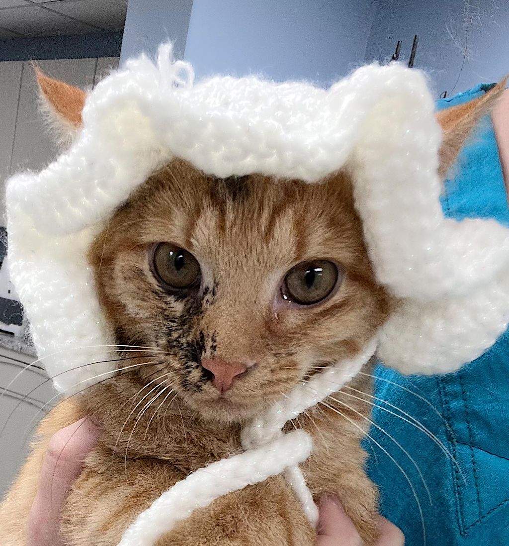 A proper gentleman.jpg