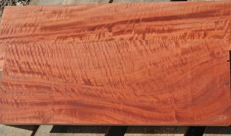a red gum 3 (2).jpg