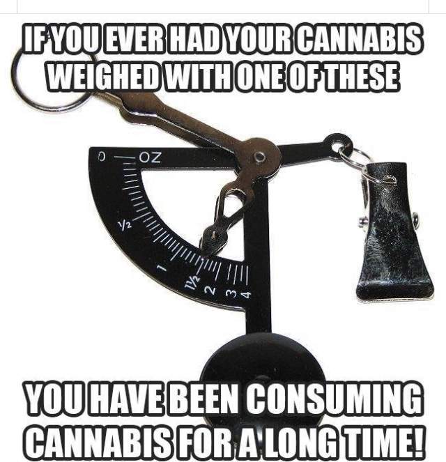 A04C0D6C-DD21-40BF-B29E-D735E92DAB05.jpeg