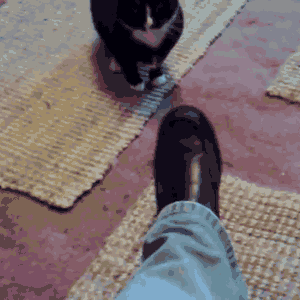 a09r02Q_460sa_v1.gif