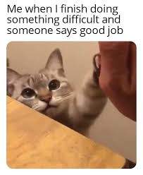 A0BE5240-EFB4-4EEC-B6F0-BC12699B0D0D.jpeg