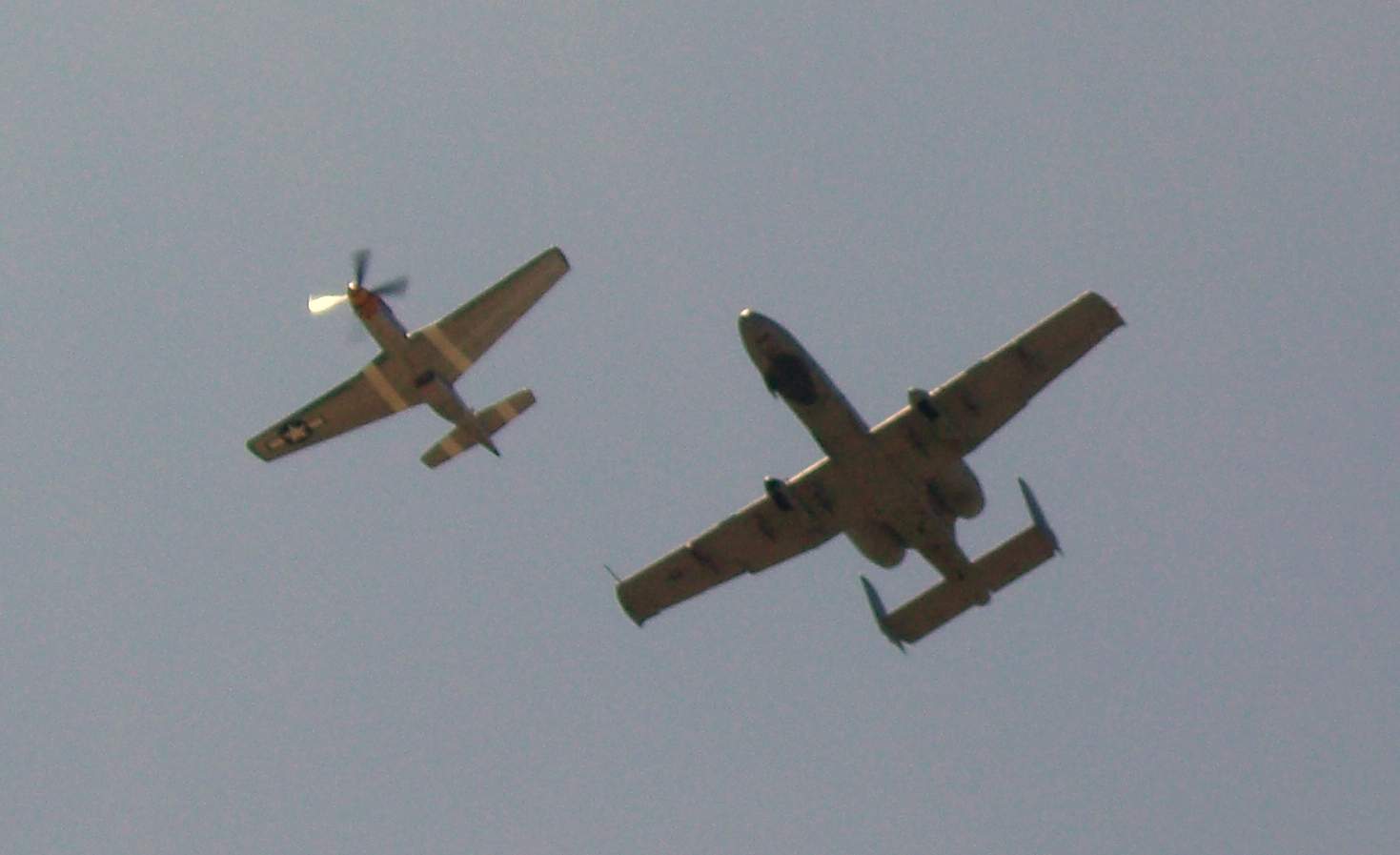 A10 P51.jpg