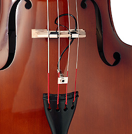 A1460.jpg