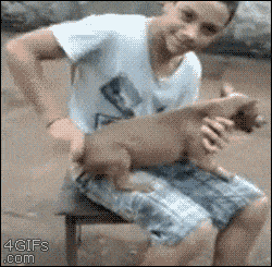 A199CD7D-1BD1-4B56-8D2A-3676B0AB82D8.gif