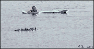 a1AgKKb_460sa.gif