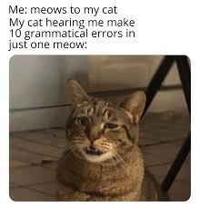A1B9DD99-0FEF-466C-919E-975597CF16F2.jpeg