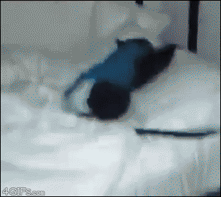 a2NLRBd_460sa.gif