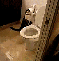 a44vnjQ_460sa_v1.gif