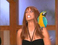 a5476b16a82475b66b7702e354462f4c.gif