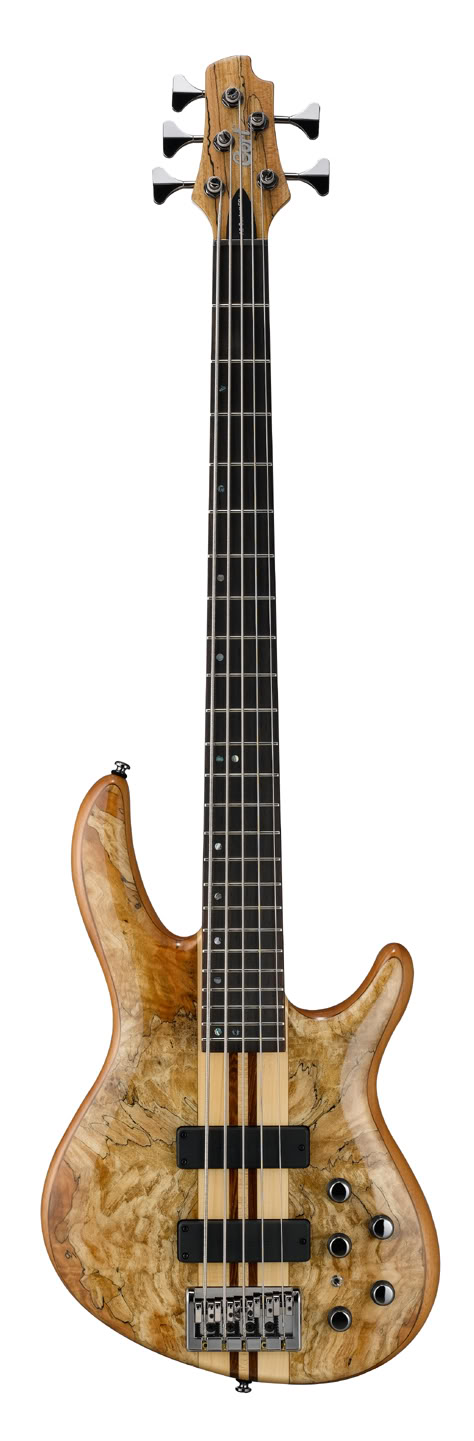 A5_Custom_SP_04.jpg