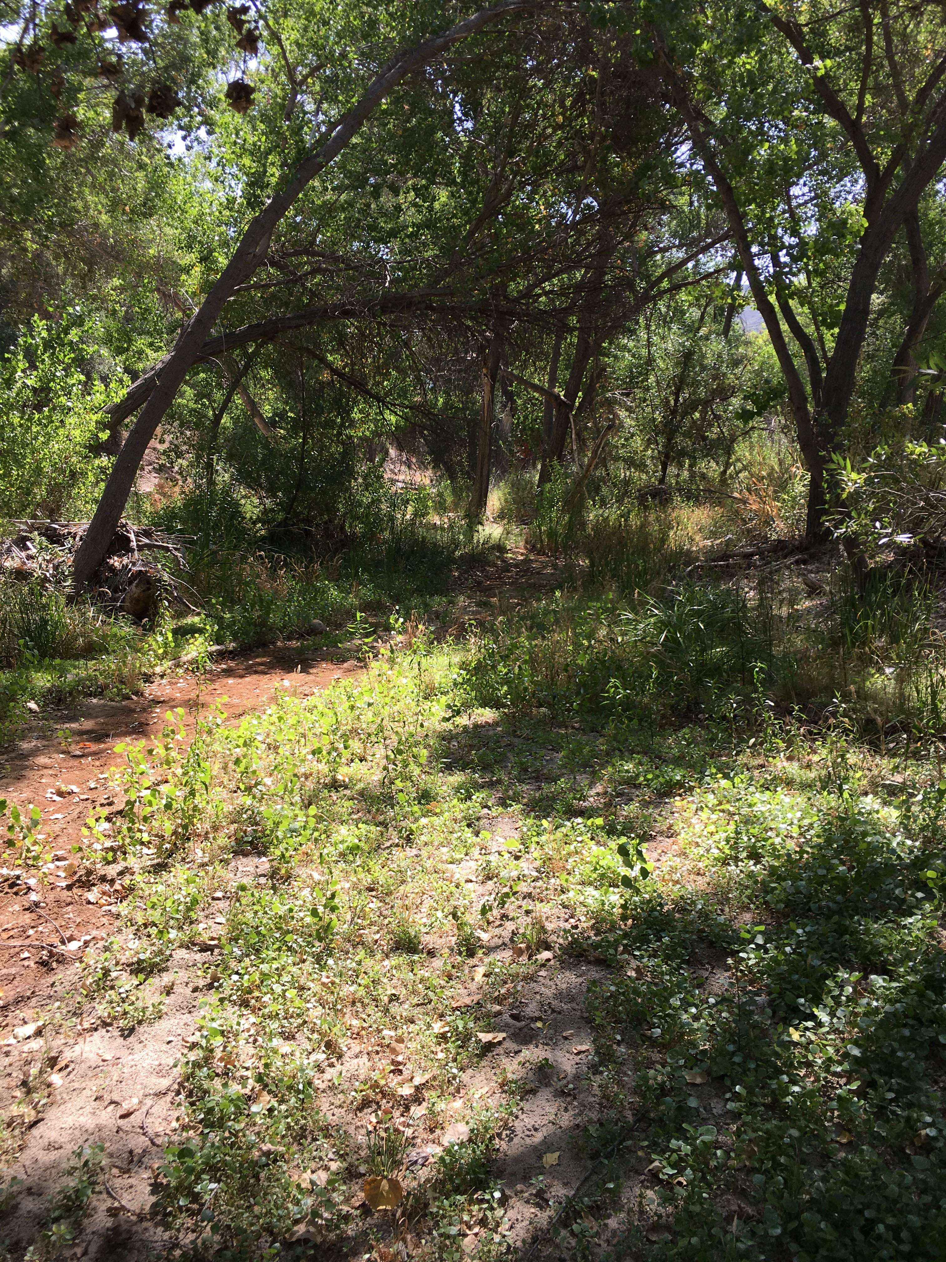 A5D68020-0573-4048-BD8D-250D2392B453.jpeg