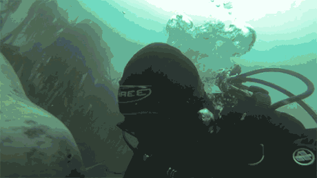a5d9NYO_460sa.gif