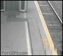 a5dqW0N_460sa.gif