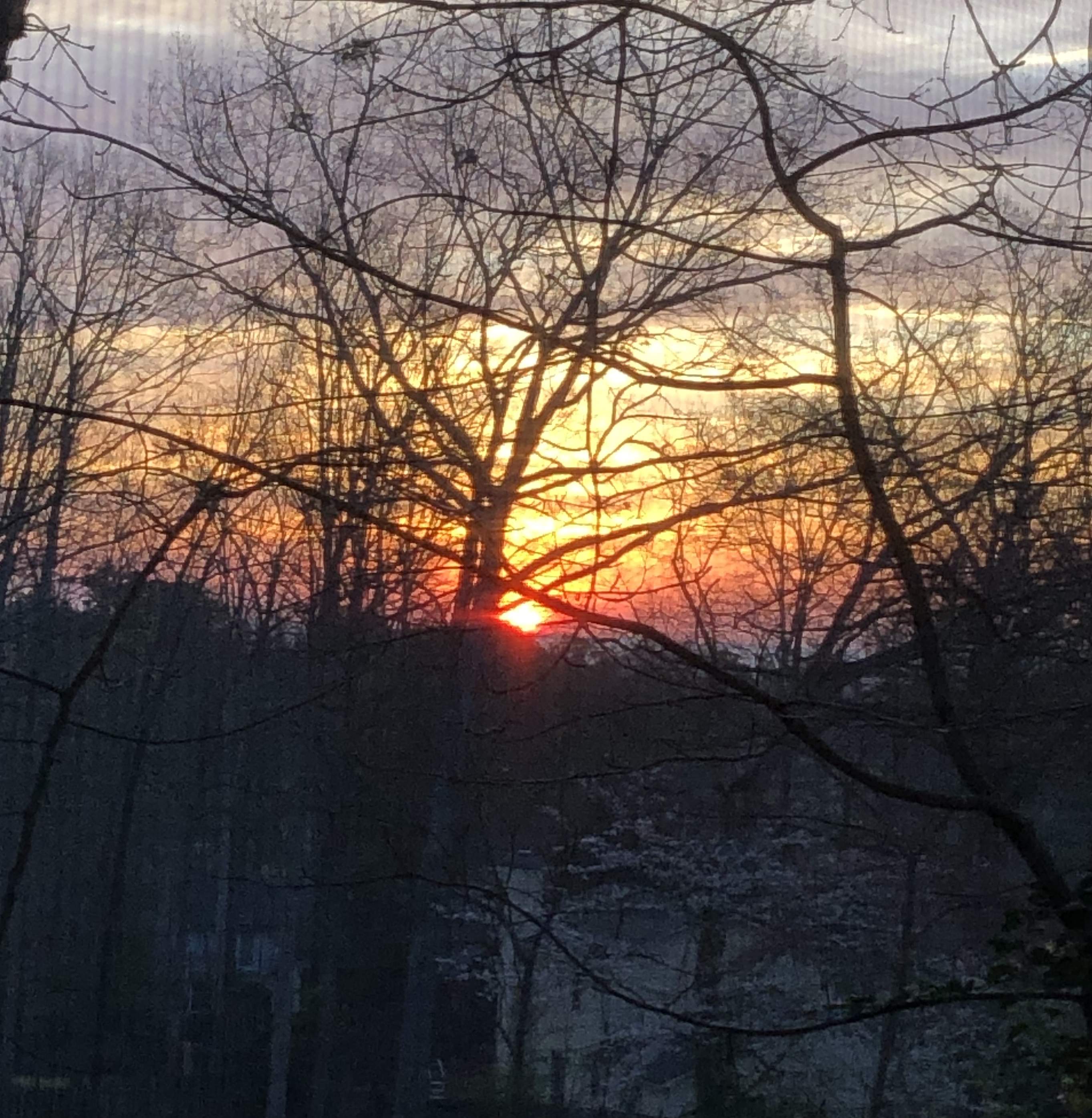 A6906948-E5BD-4636-A3F5-948496A090C7.jpeg