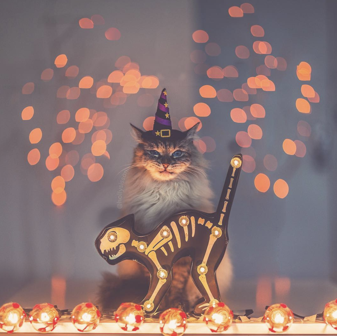 a6a98528-334c-4191-a610-c838d42ab1cf.png