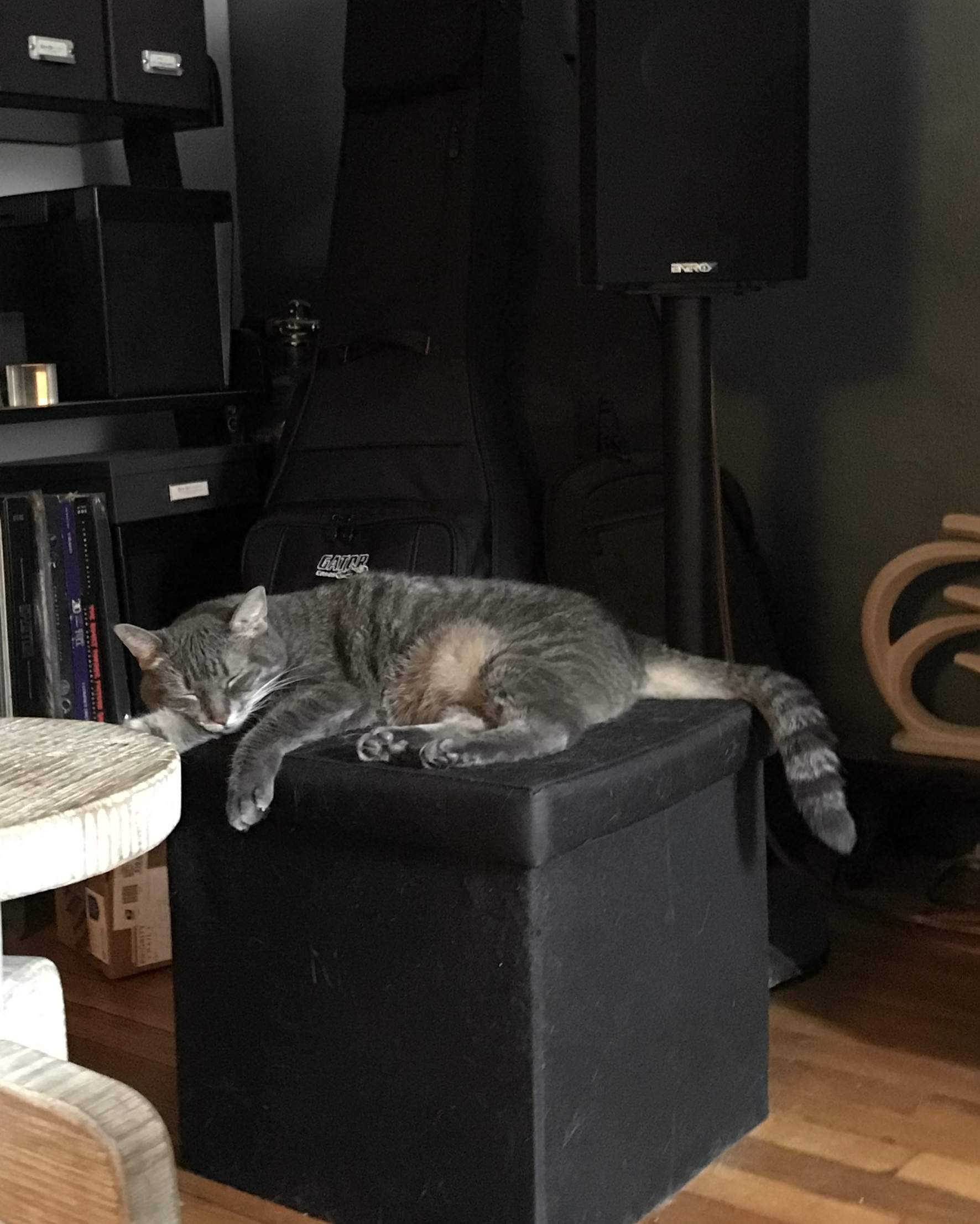 A6BD5212-C379-4D98-84E6-121645A54527.jpeg