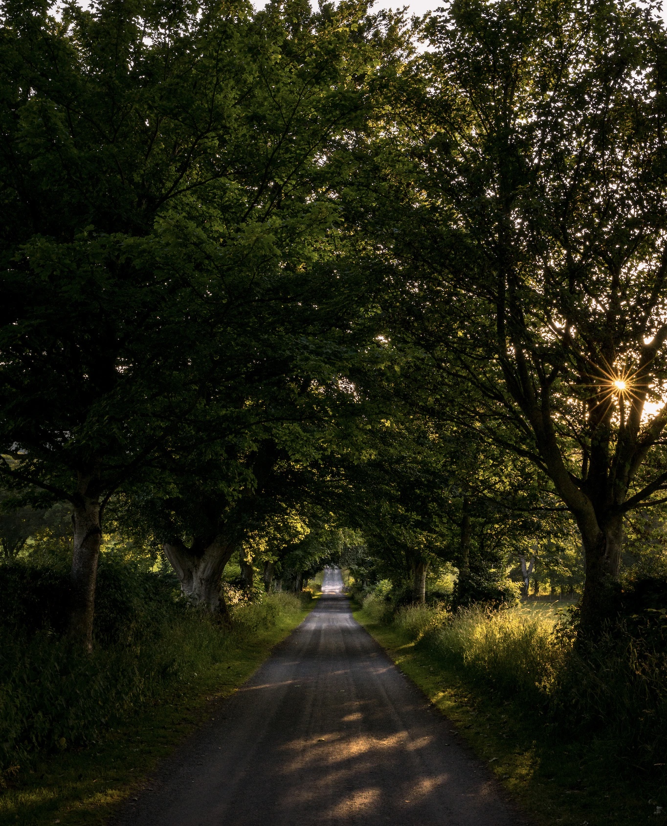 A6CF854E-49F6-4C67-B1ED-5697A1DBCFA3.jpeg