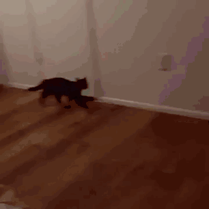a75mKxq_460sa.gif