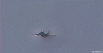 A7BAEDC1-C872-4FE9-89F7-DC8BD33FB1FB.gif