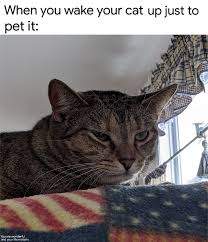 A7C0E419-9536-40CA-8600-40AF1AC06FFA.jpeg