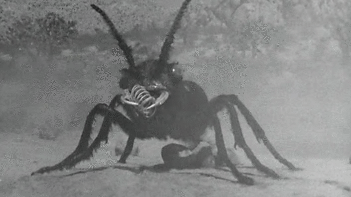 A8C99F87-893C-4C07-96A8-3005CA7F855F.gif