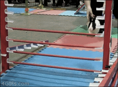 a8WXYb6_460sa.gif