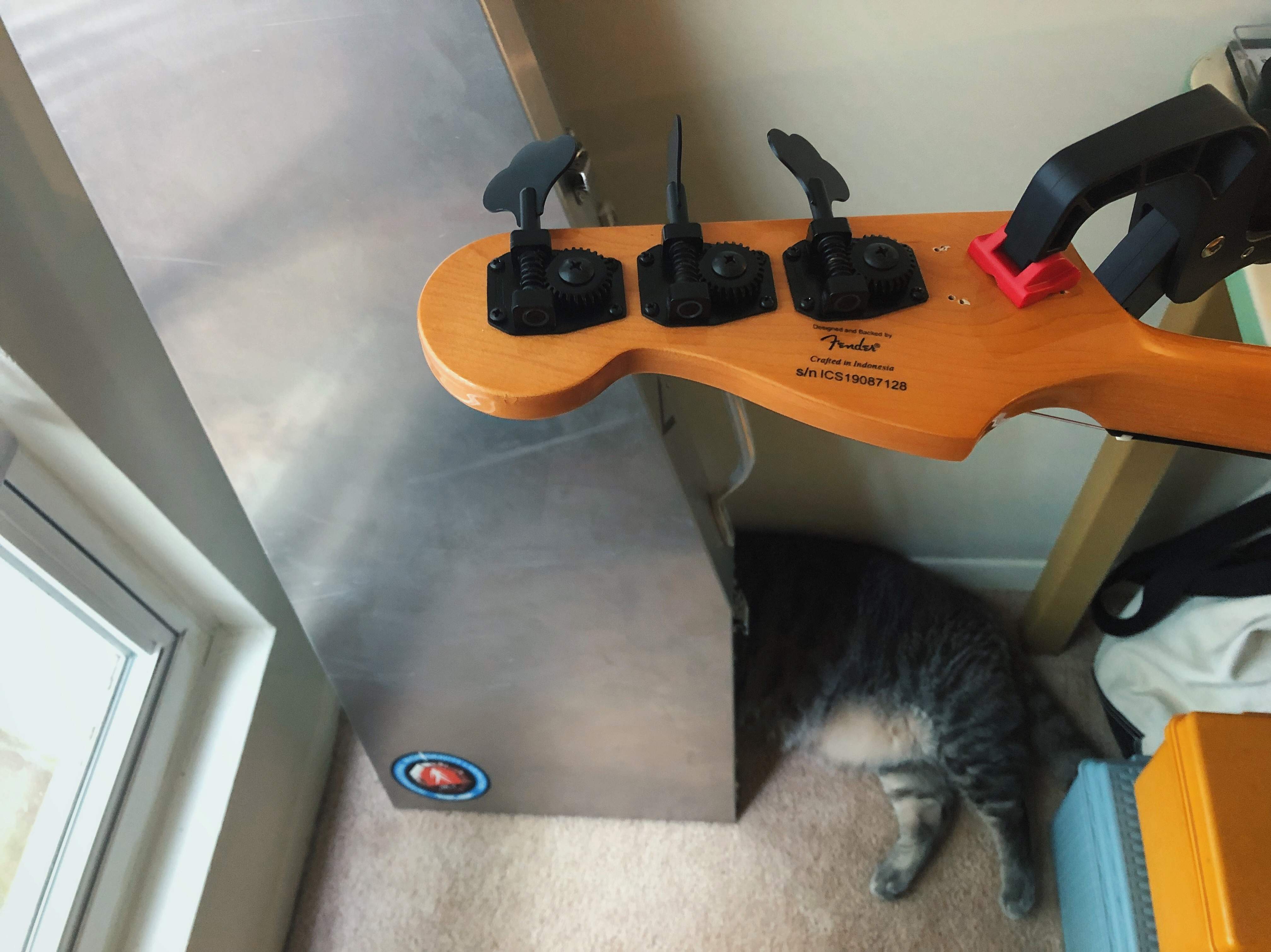A94D29B3-E01C-4513-86AF-FD444B07759B.jpeg
