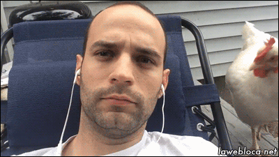 a9dg9ZD_460sa_v1.gif