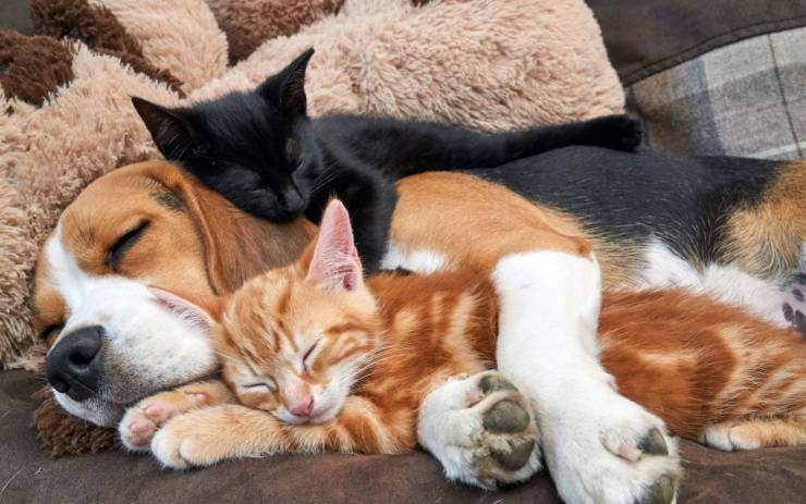 aaawwwwww.jpg