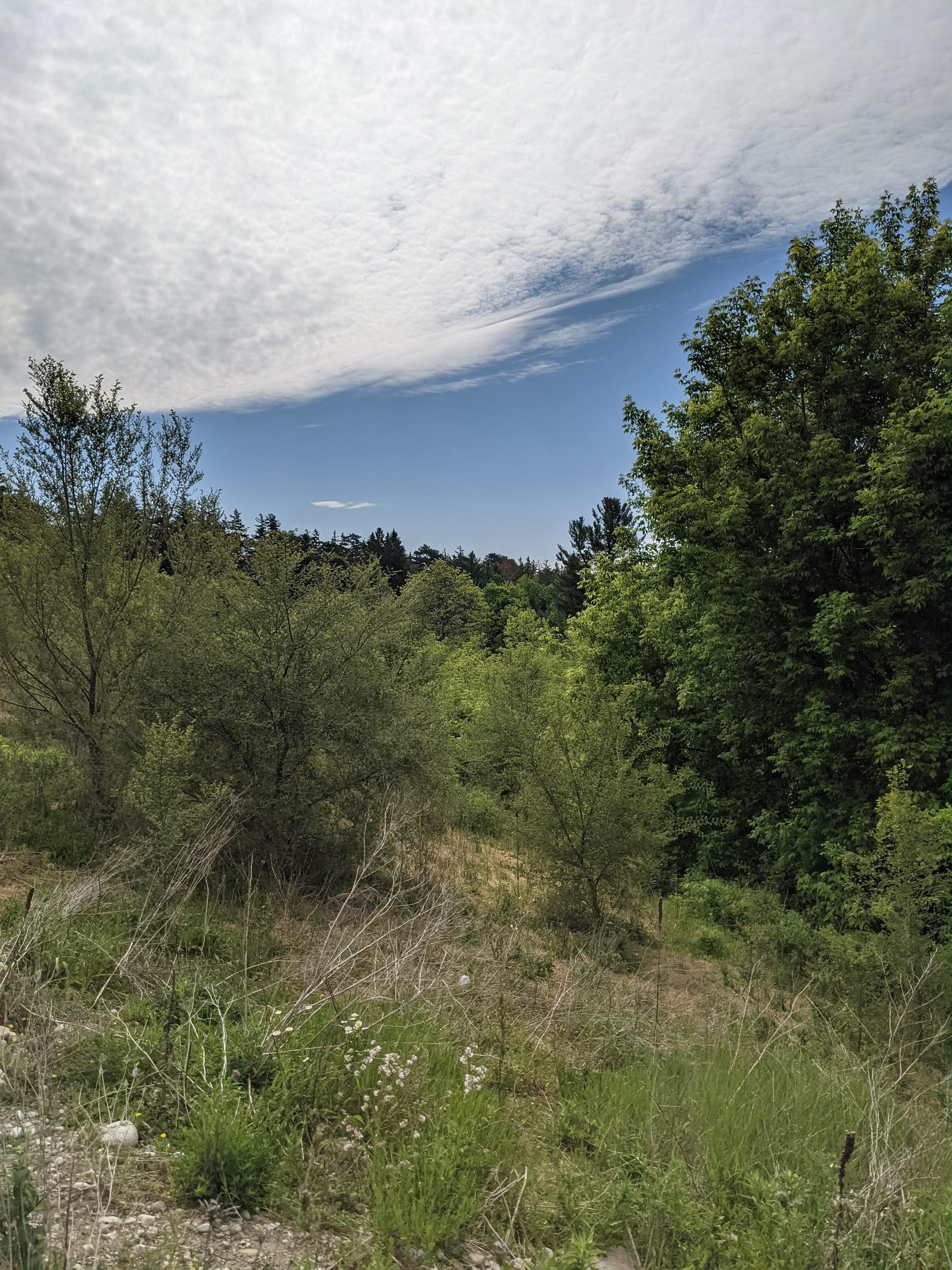 AAF52296-94EC-4FC7-AD05-CE70350AF2F5.jpeg