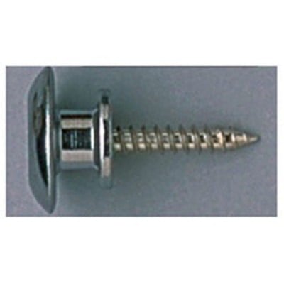 AAP684-P.jpg