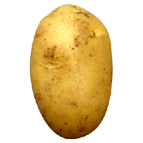 aardappel2.png
