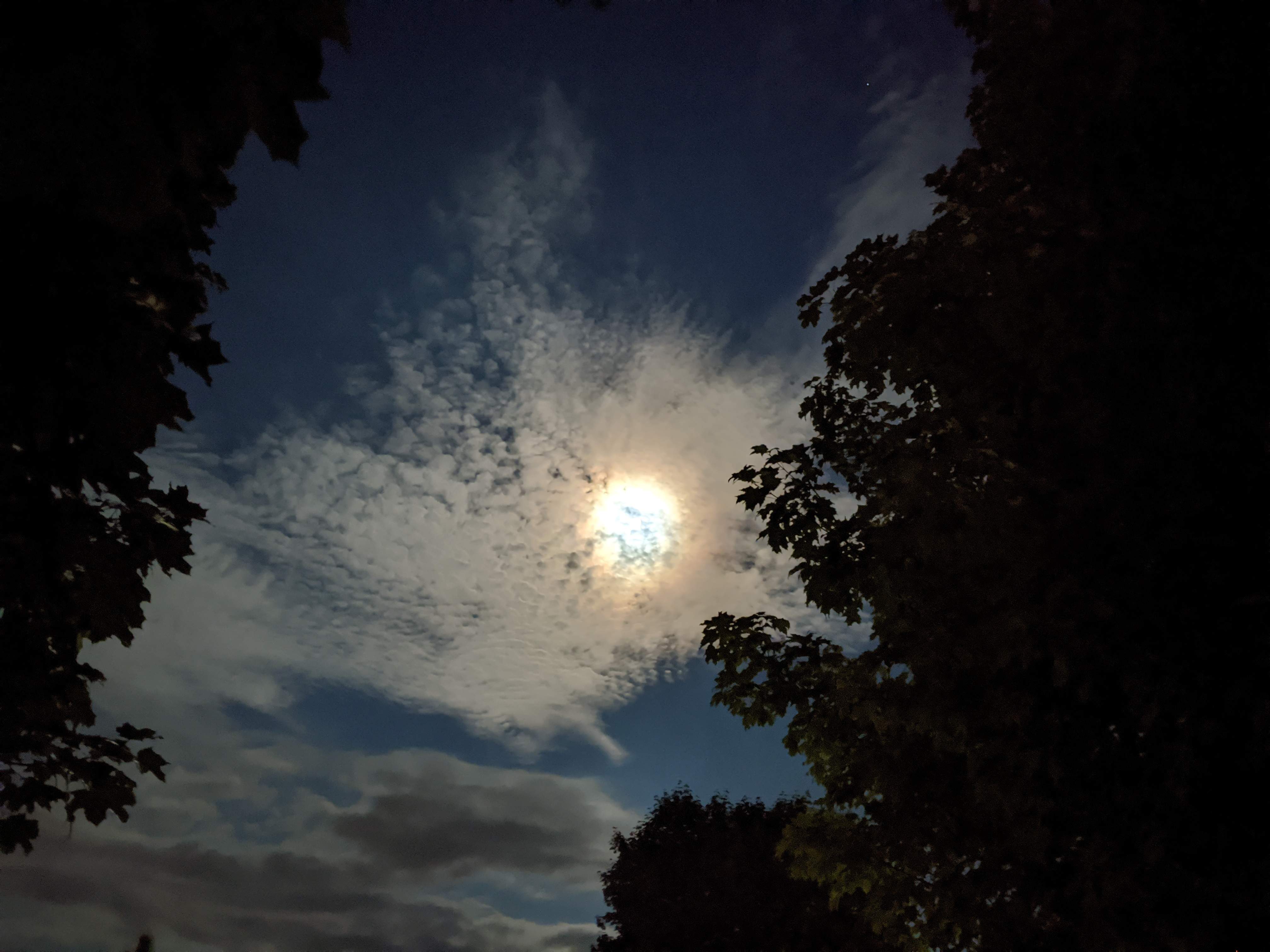 AB07FAE8-27A7-43B8-B1C7-FED307D26074.jpeg