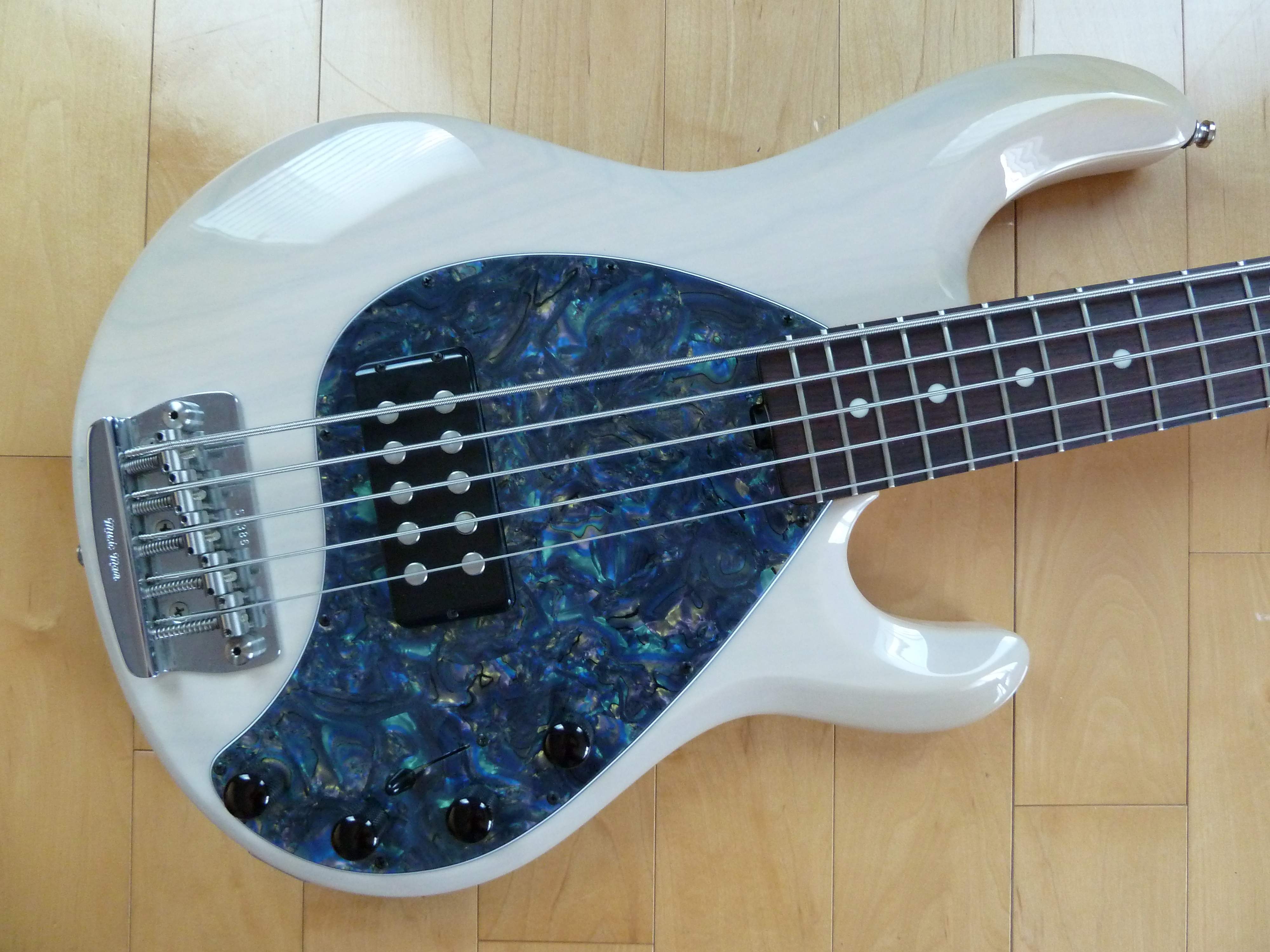 Abalone.jpeg