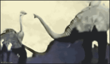 abd-29.gif