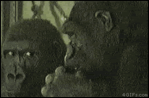abd-87.gif