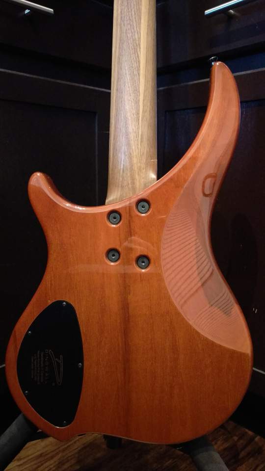 abii - rear.jpg