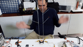 AbsoluteAdmirableConch-max-1mb.gif