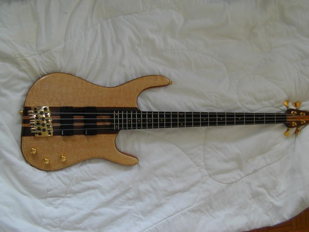 Acaciafullfront.jpg