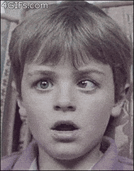 AccomplishedDisfiguredFluke-max-1mb.gif