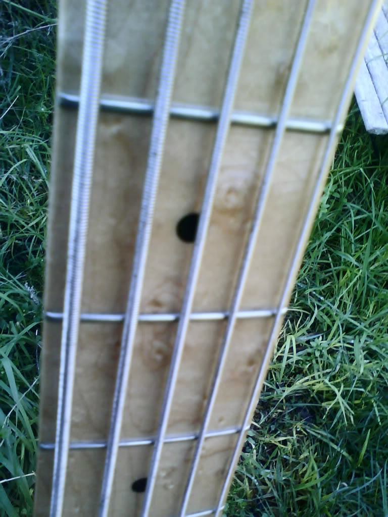 ACEUT5neckbirdseye.jpg