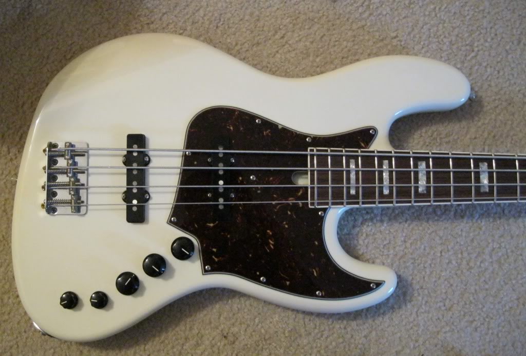 ACLG4body1.jpg