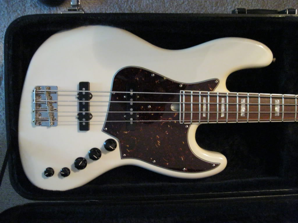 ACLG4body2.jpg