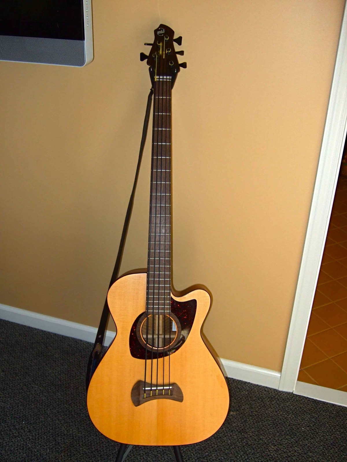 acoustic1.jpg