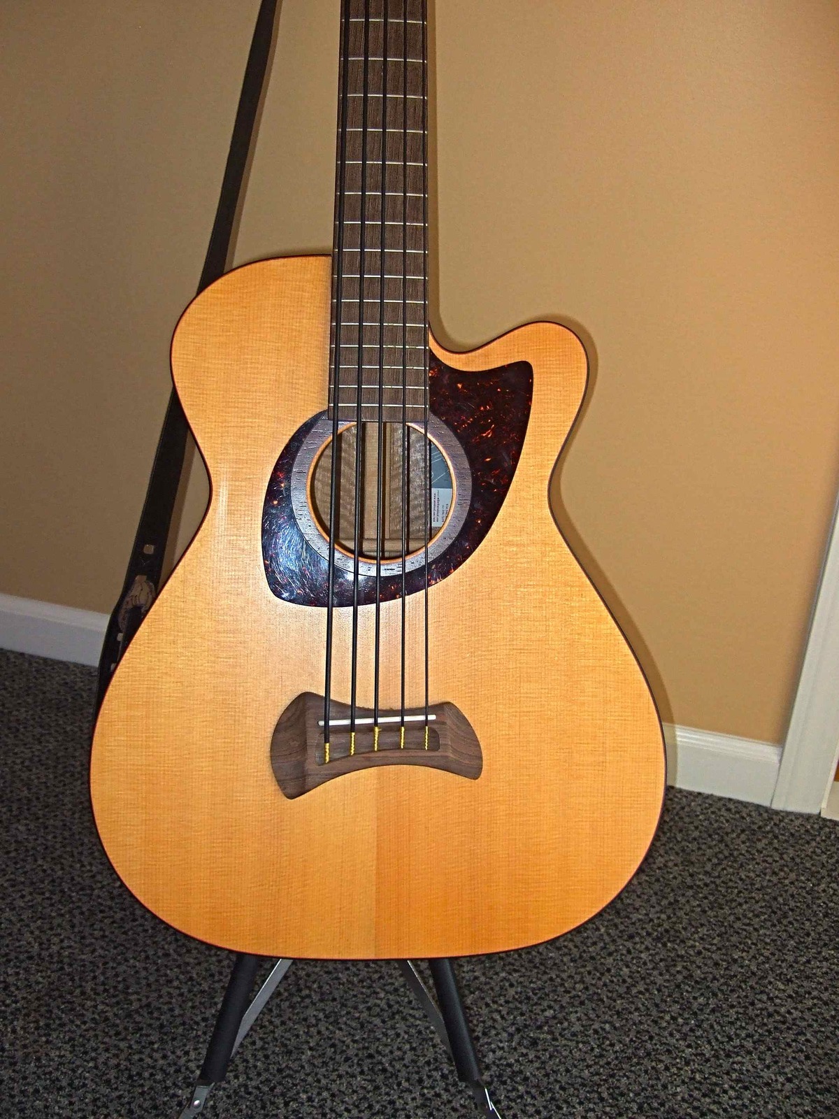 acoustic2.jpg