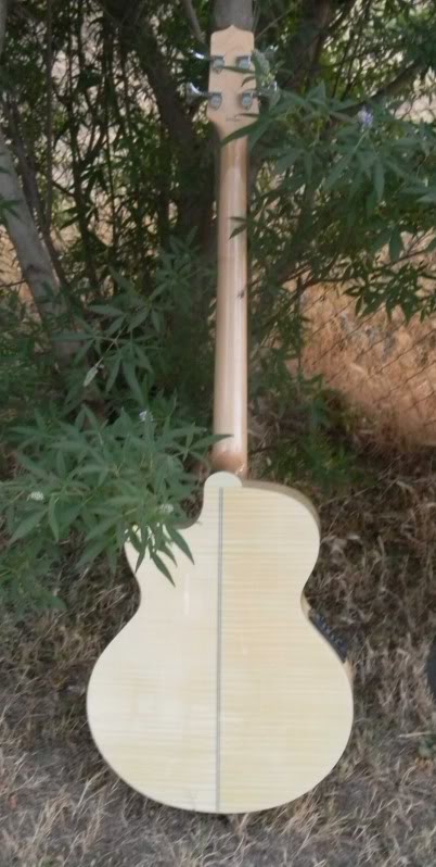 acousticbacktouse.jpg