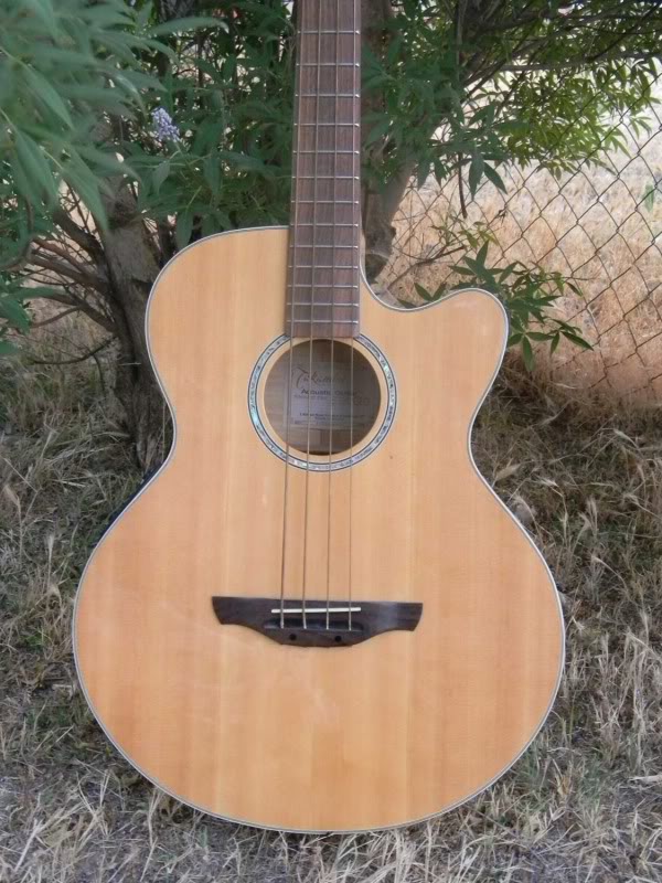 acousticfronttouse.jpg