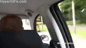 aD0NPZd_460sa.gif